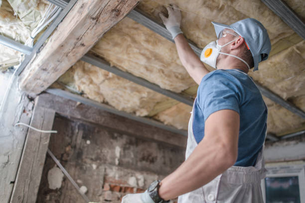 Best Wall Insulation Contractor  in Woodbury, NY