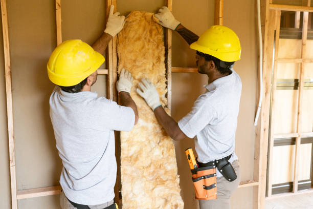Best Home Insulation Services  in Woodbury, NY