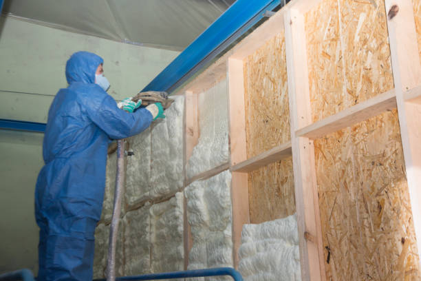 Best Insulation Removal  in Woodbury, NY